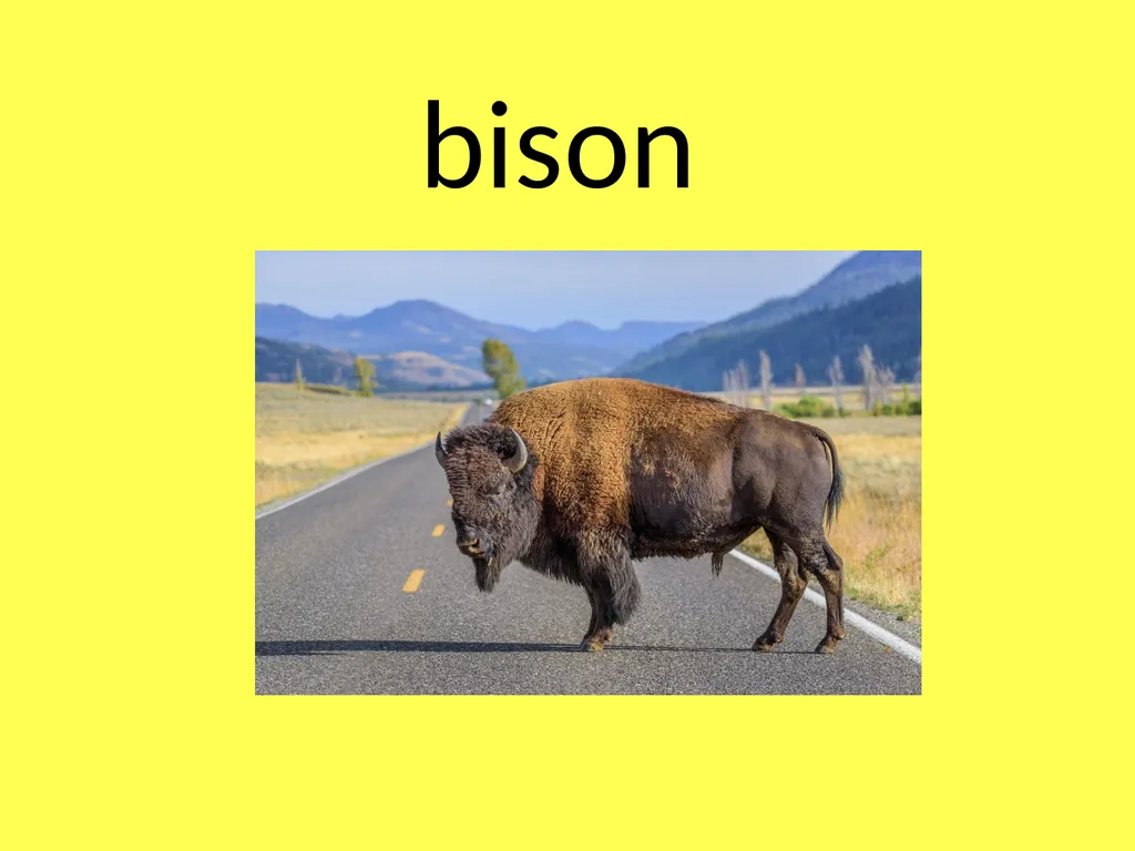 bison bull abstract relating to art that does not - slide 1 of 20