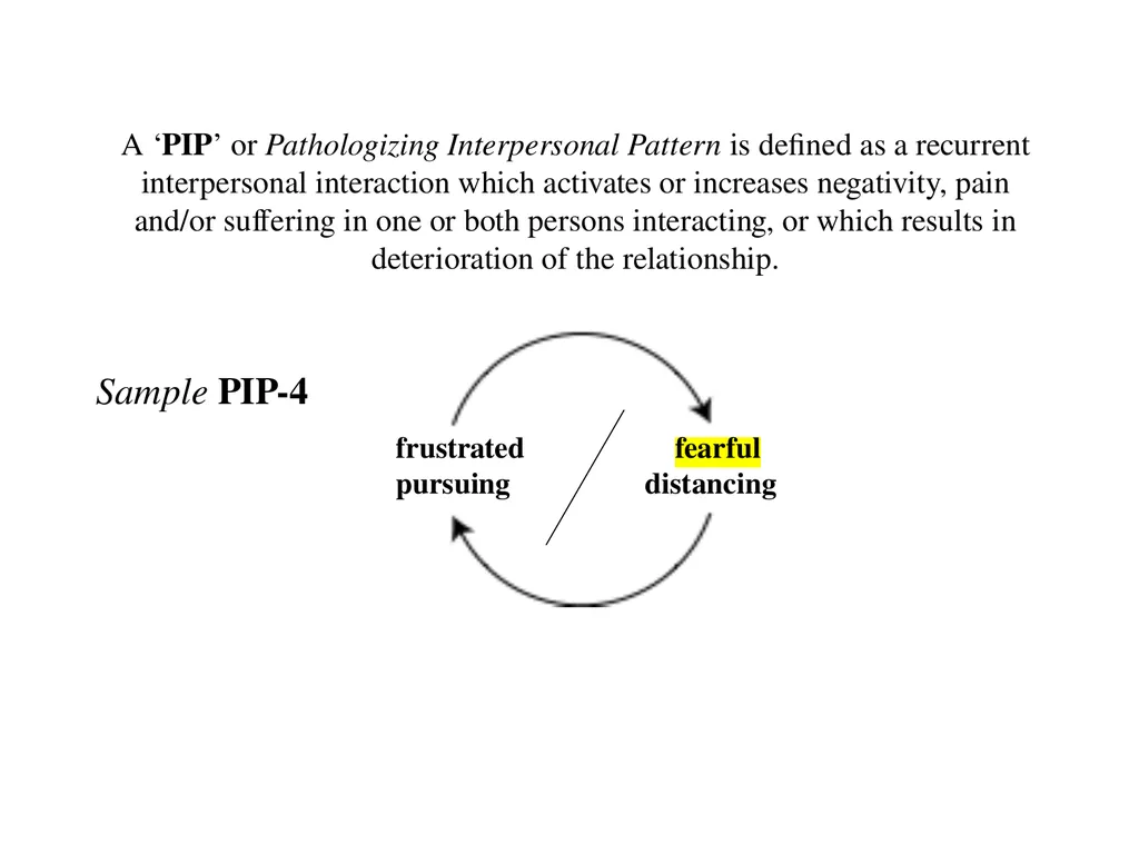 13 September 2023 by Karl Tomm MD University of - slide 25 of 124