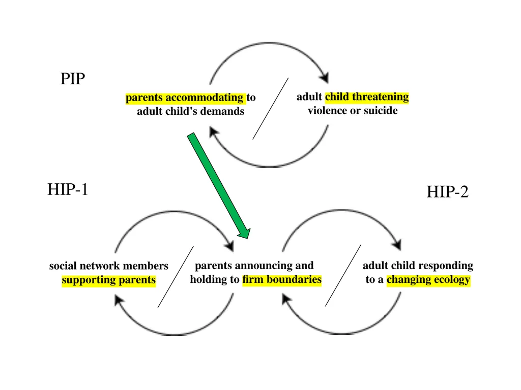13 September 2023 by Karl Tomm MD University of - slide 89 of 124