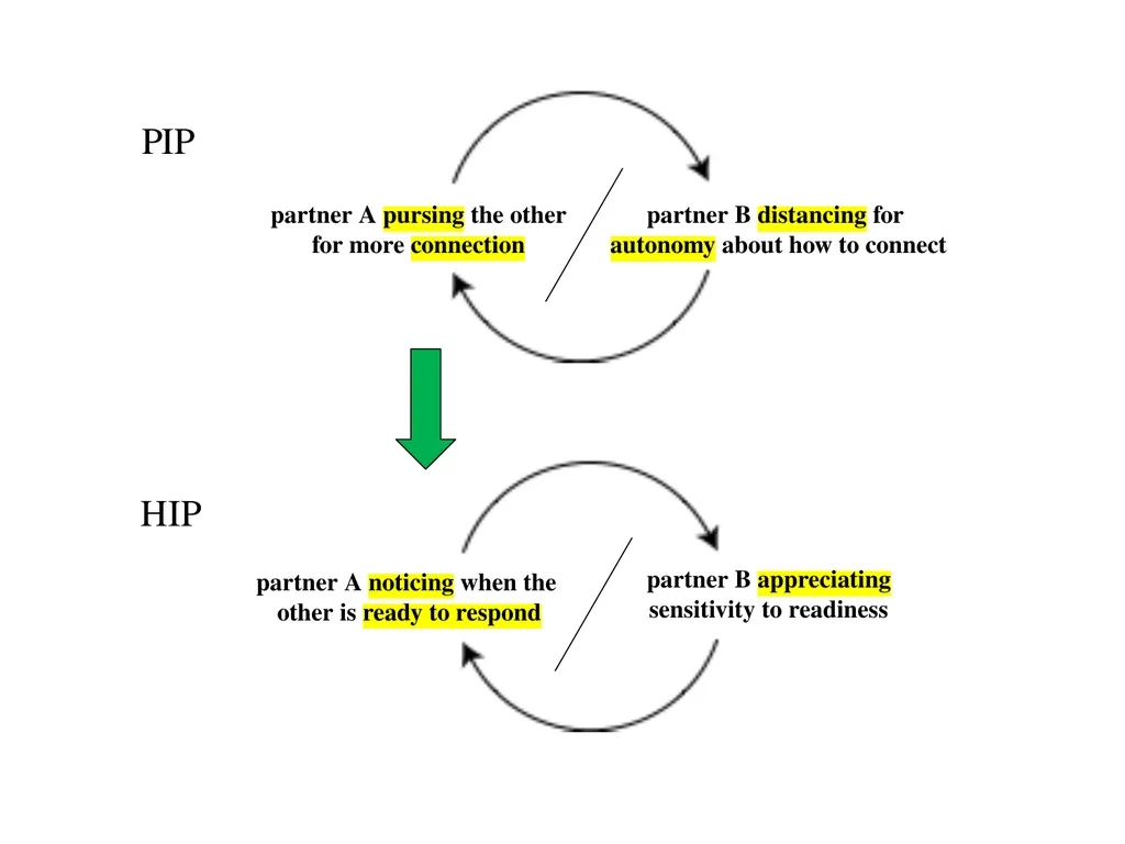 13 September 2023 by Karl Tomm MD University of - slide 91 of 124