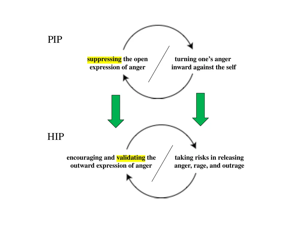 13 September 2023 by Karl Tomm MD University of - slide 68 of 124