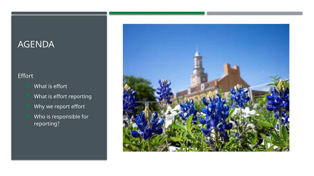 Effort Reporting Agenda Effort What is effort What - slide 2 of 23