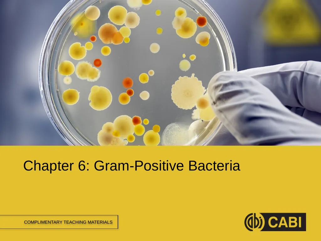 MICROBIAL FOOD SAFETY A FOOD SYSTEMS APPROACH - slide 2 of 11