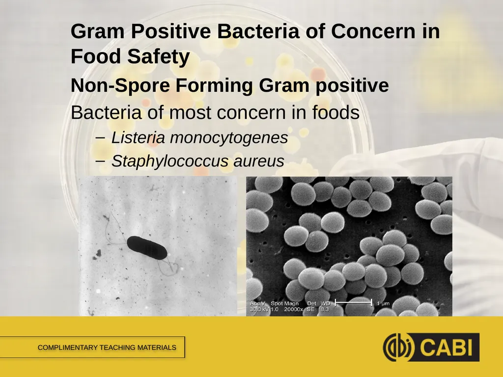 MICROBIAL FOOD SAFETY A FOOD SYSTEMS APPROACH - slide 9 of 11