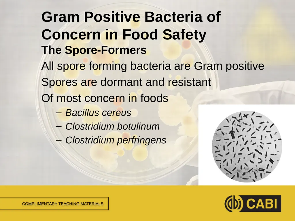 MICROBIAL FOOD SAFETY A FOOD SYSTEMS APPROACH - slide 5 of 11