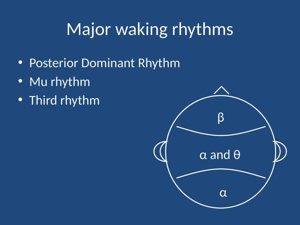 NORMAL ADULT EEG Amar B. Bhatt, MD, FAES Assistant - slide 4 of 66