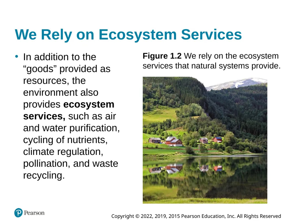 Essential Environment: The Science Behind the - slide 6 of 44