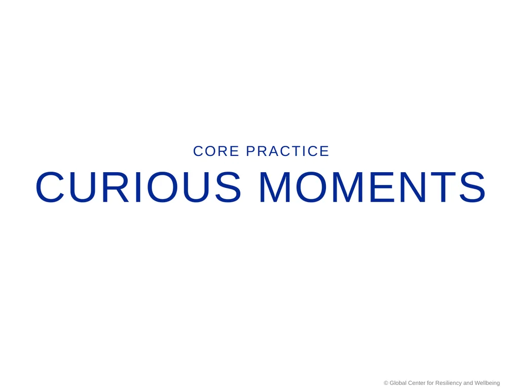 SMART Stress Management & Resiliency Training - slide 30 of 62
