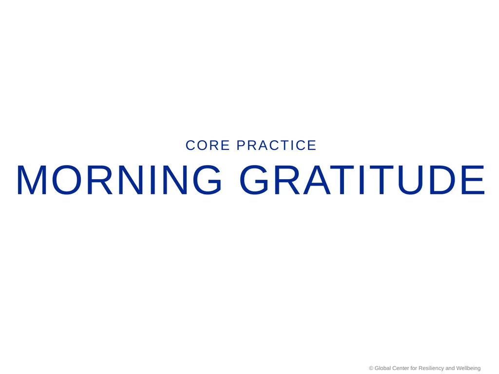 SMART Stress Management & Resiliency Training - slide 20 of 62