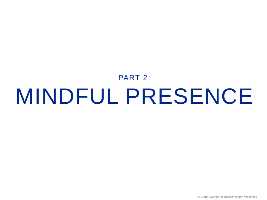 SMART Stress Management & Resiliency Training - slide 23 of 62