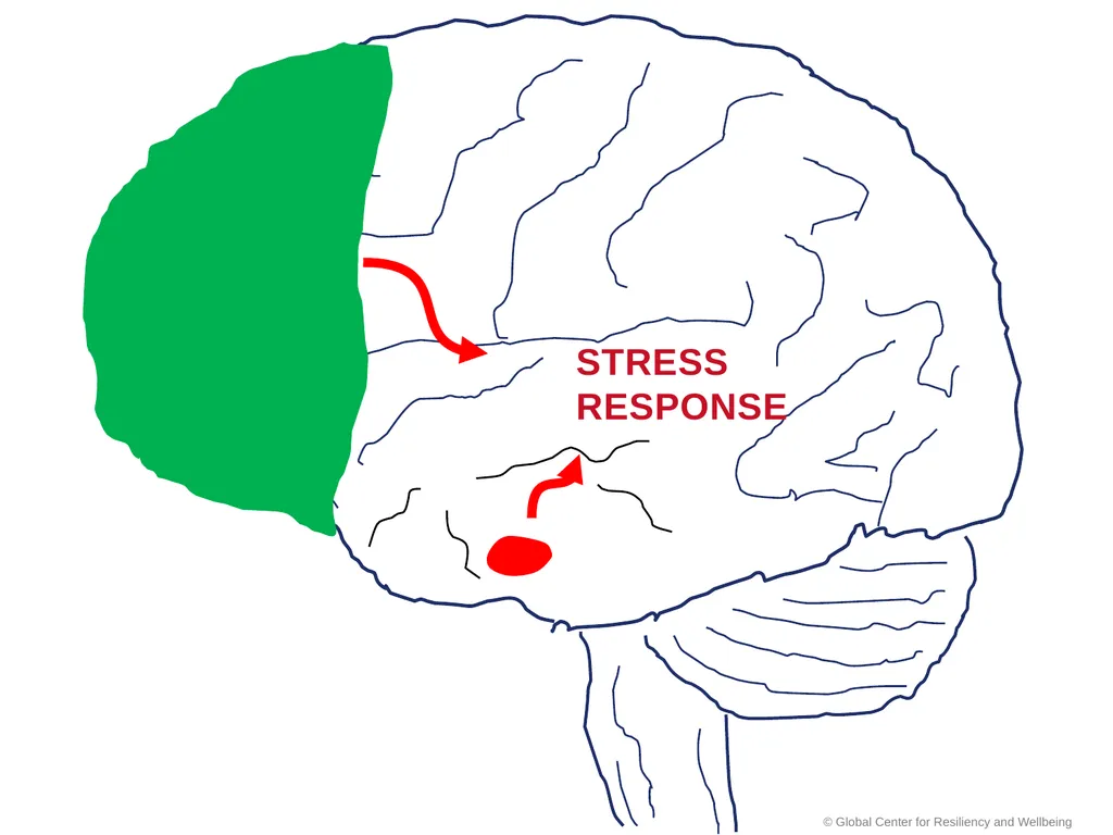 SMART Stress Management & Resiliency Training - slide 36 of 62