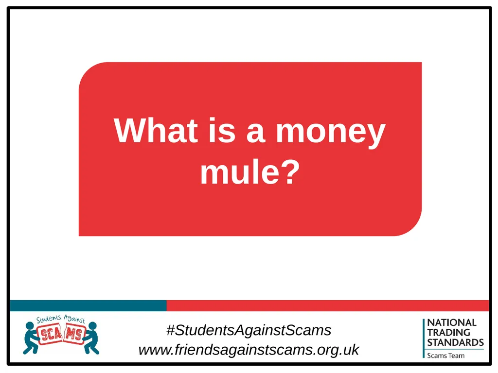 About Students Against Scams Raising students’ - slide 6 of 31