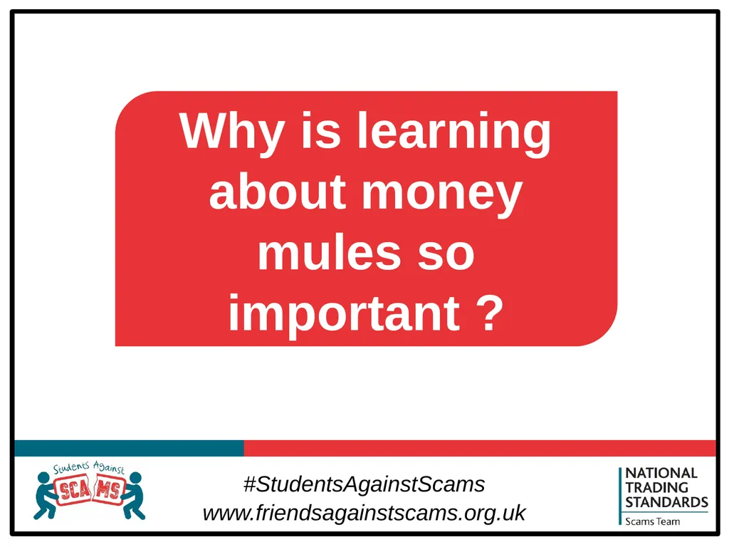 About Students Against Scams Raising students’ - slide 10 of 31