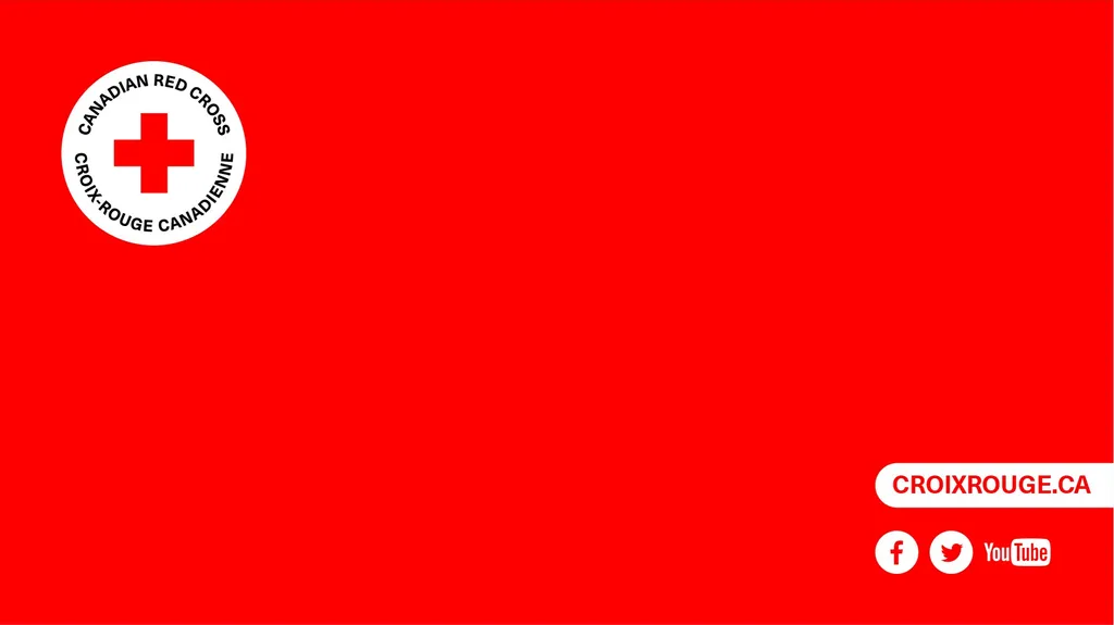 The Red Cross is there Every day, we are present - slide 8 of 8