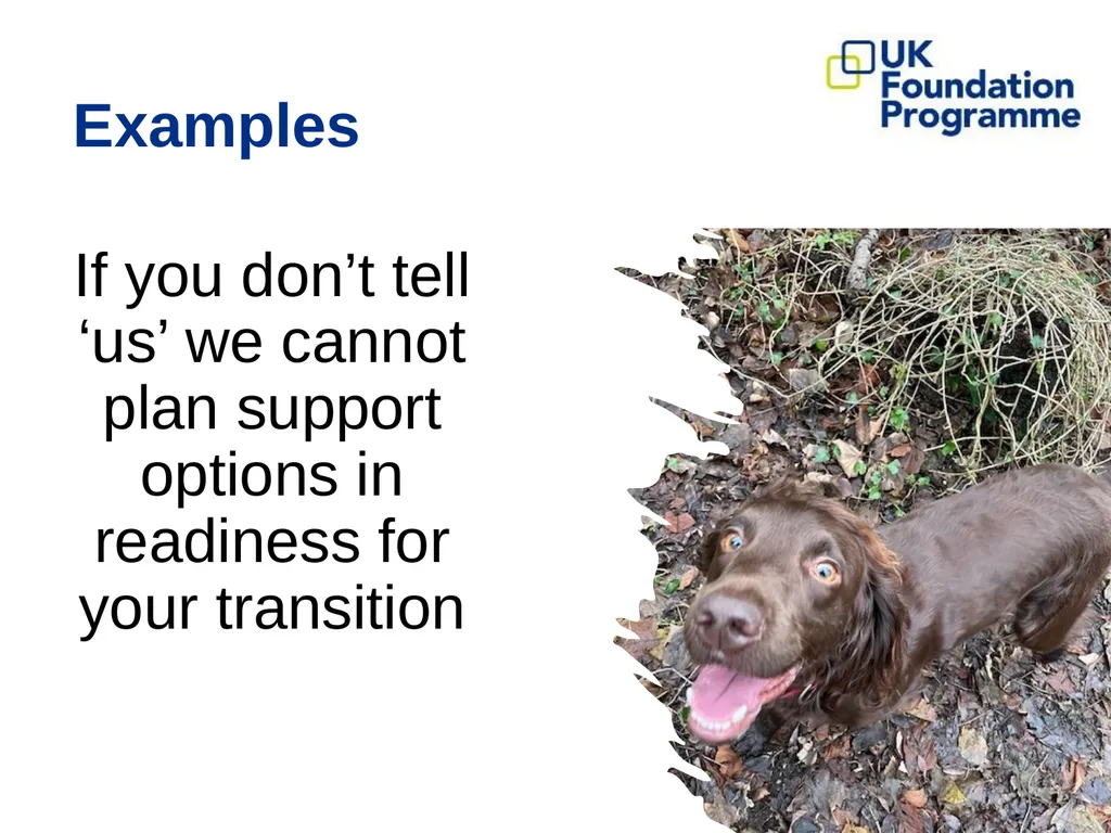 Supporting Trainees Entering Practice (STEP) - slide 19 of 23