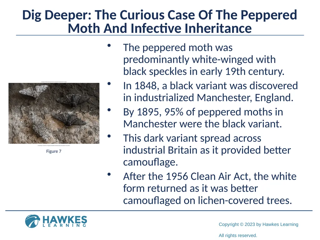 Lesson 2.1 Human Genetics Human Genetics Figure 1 - slide 15 of 26
