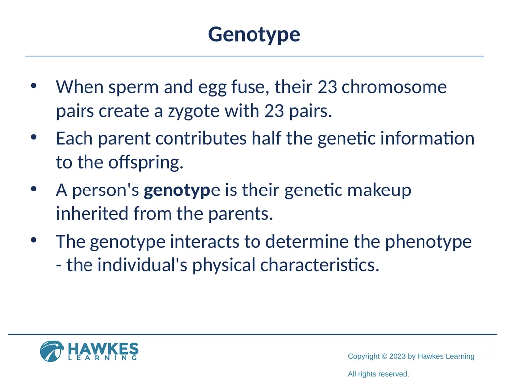 Lesson 2.1 Human Genetics Human Genetics Figure 1 - slide 9 of 26
