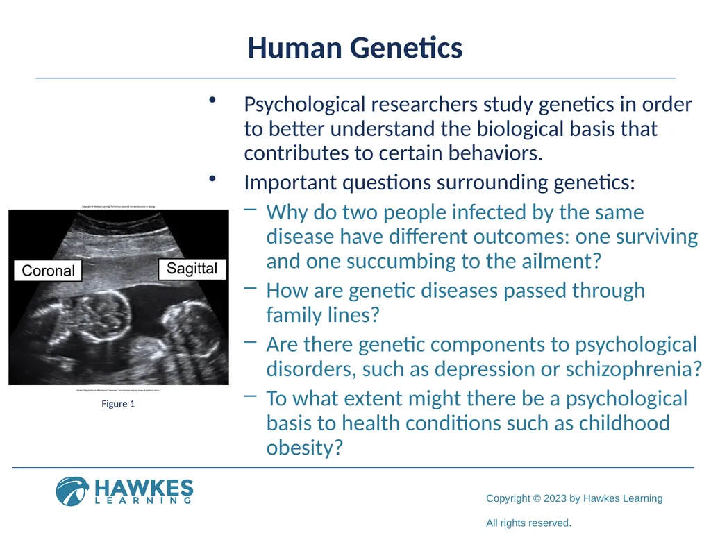 Lesson 2.1 Human Genetics Human Genetics Figure 1 - slide 2 of 26