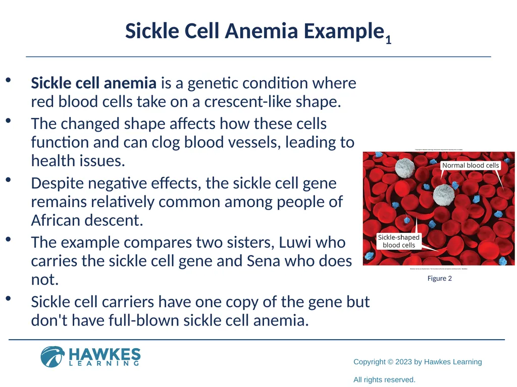 Lesson 2.1 Human Genetics Human Genetics Figure 1 - slide 3 of 26