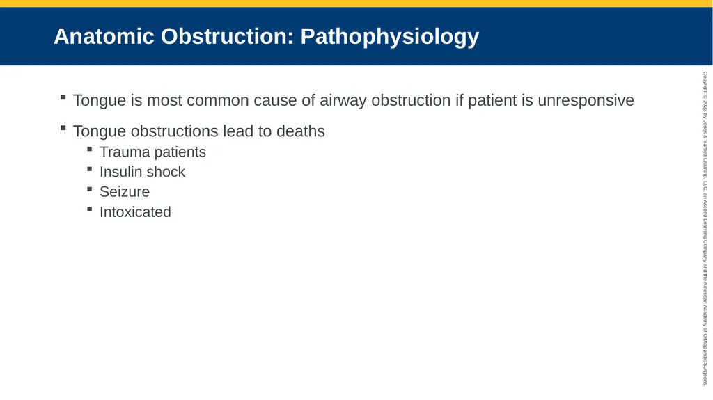 Respiratory Emergencies CHAPTER 17 Introduction - slide 105 of 179
