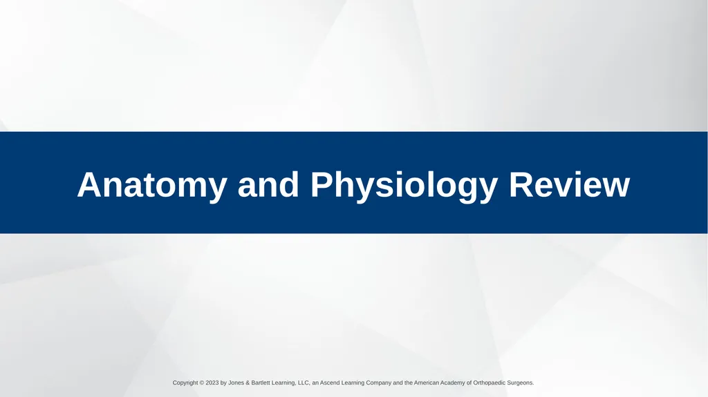 Respiratory Emergencies CHAPTER 17 Introduction - slide 4 of 179