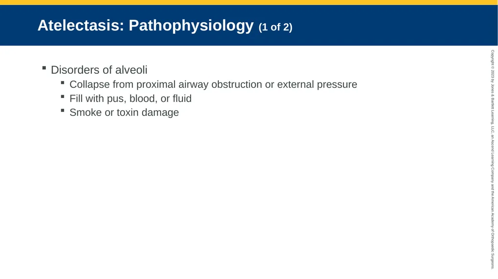 Respiratory Emergencies CHAPTER 17 Introduction - slide 148 of 179