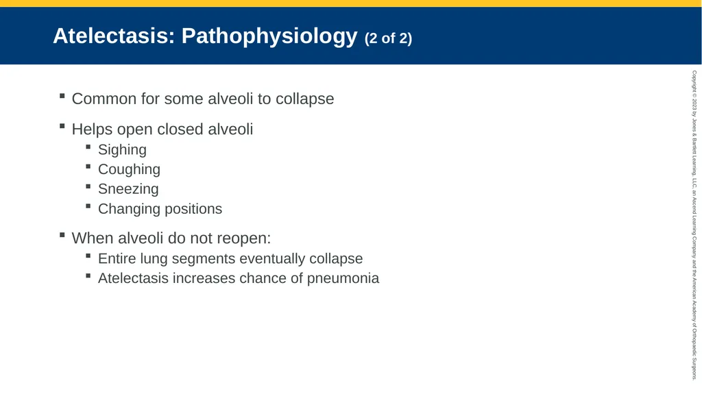 Respiratory Emergencies CHAPTER 17 Introduction - slide 149 of 179