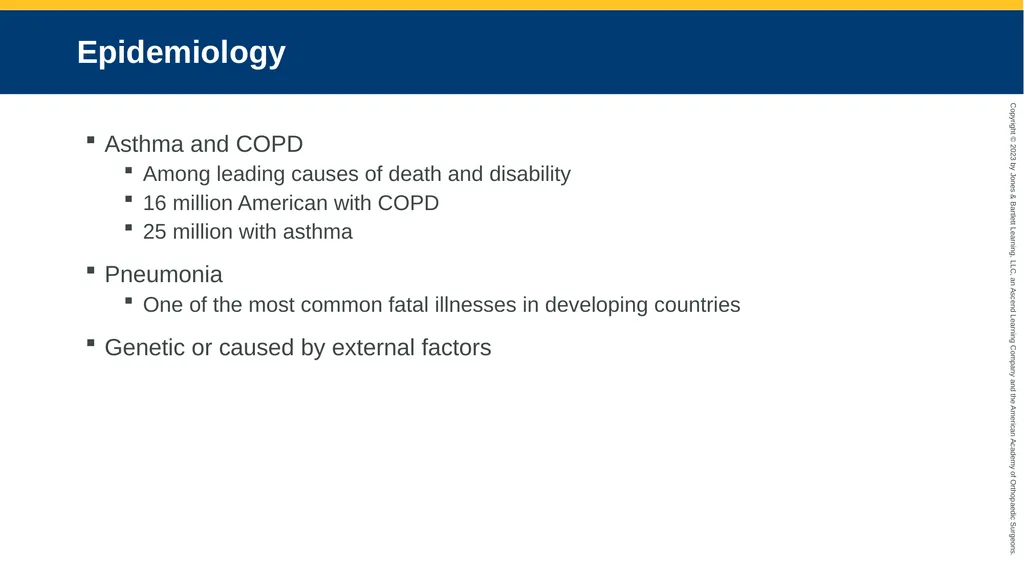 Respiratory Emergencies CHAPTER 17 Introduction - slide 3 of 179
