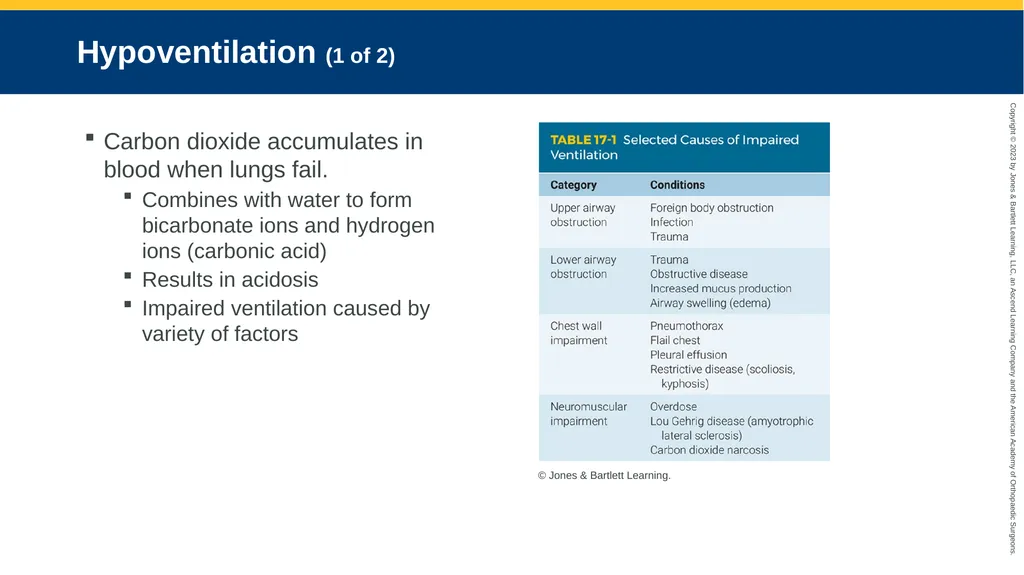 Respiratory Emergencies CHAPTER 17 Introduction - slide 20 of 179