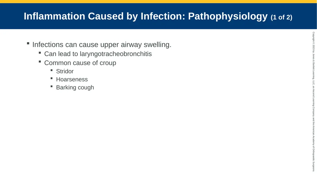 Respiratory Emergencies CHAPTER 17 Introduction - slide 108 of 179