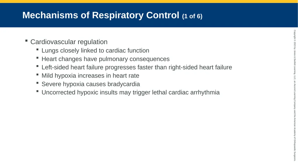 Respiratory Emergencies CHAPTER 17 Introduction - slide 14 of 179