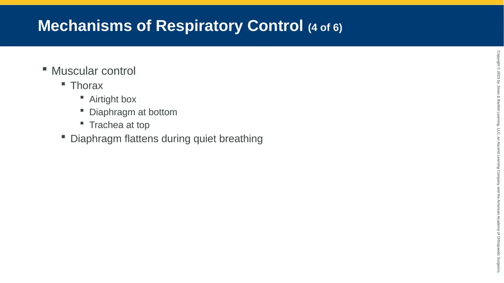 Respiratory Emergencies CHAPTER 17 Introduction - slide 17 of 179