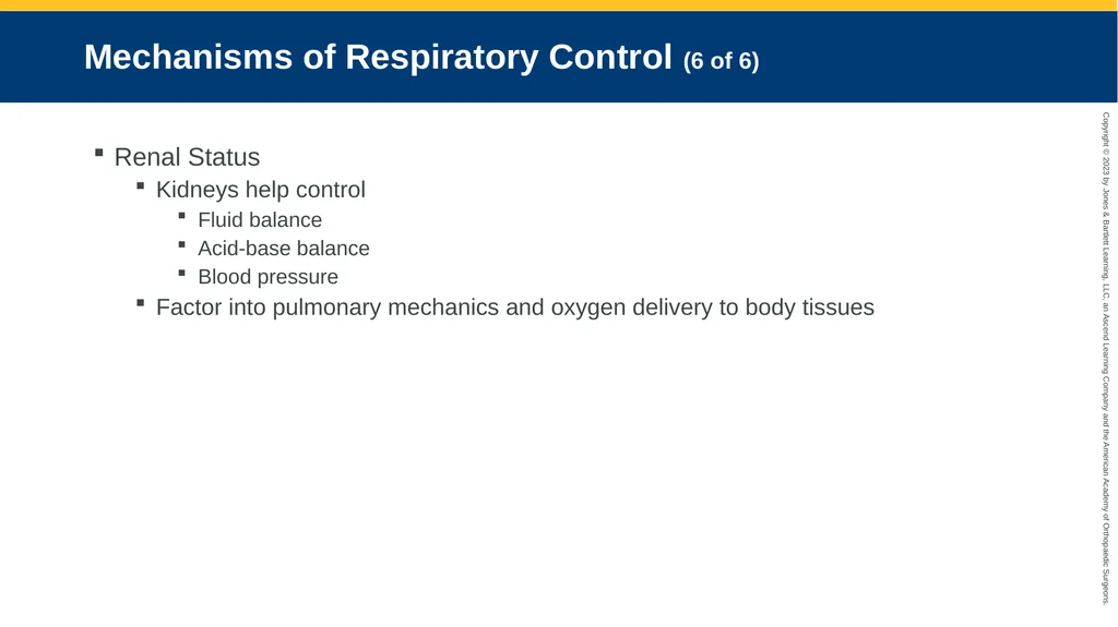 Respiratory Emergencies CHAPTER 17 Introduction - slide 19 of 179