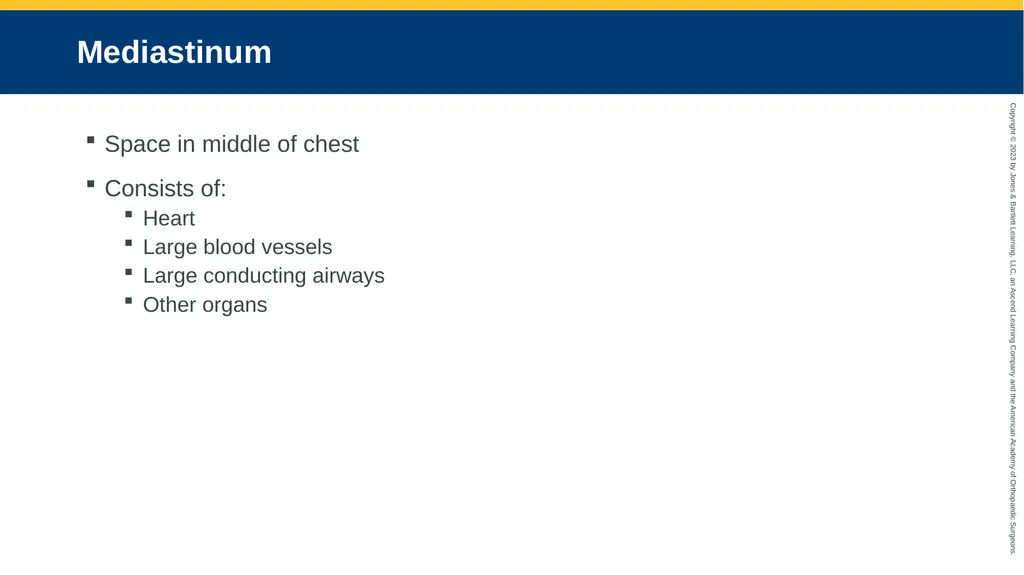 Respiratory Emergencies CHAPTER 17 Introduction - slide 11 of 179