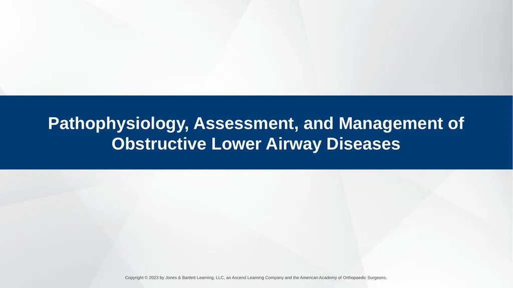 Respiratory Emergencies CHAPTER 17 Introduction - slide 117 of 179