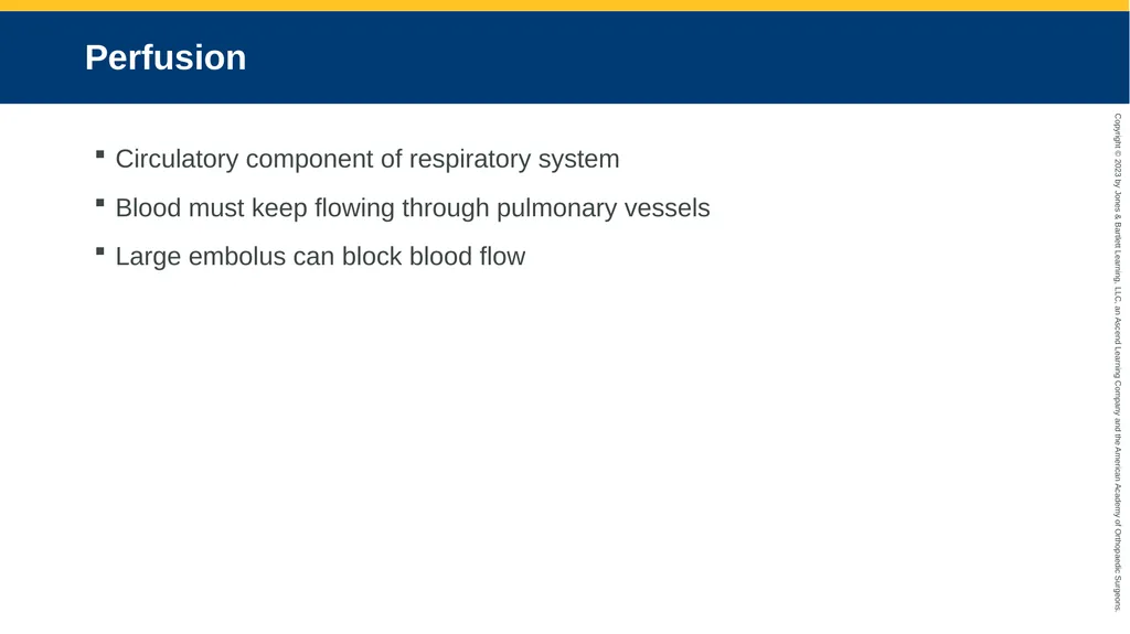 Respiratory Emergencies CHAPTER 17 Introduction - slide 13 of 179