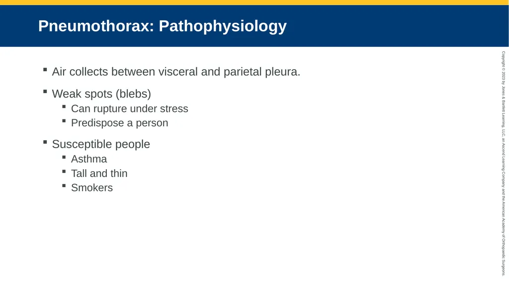 Respiratory Emergencies CHAPTER 17 Introduction - slide 168 of 179