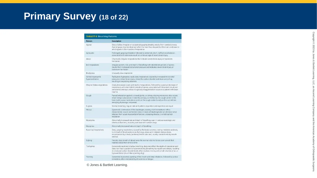 Respiratory Emergencies CHAPTER 17 Introduction - slide 51 of 179