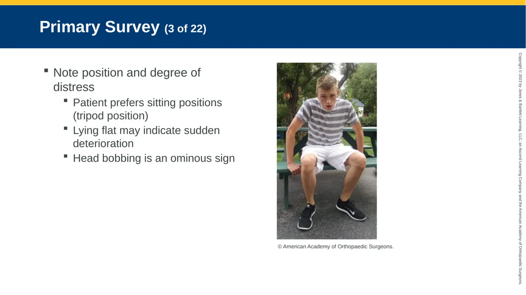 Respiratory Emergencies CHAPTER 17 Introduction - slide 36 of 179