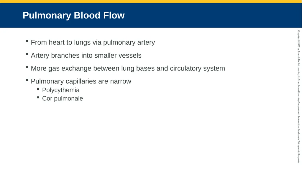 Respiratory Emergencies CHAPTER 17 Introduction - slide 12 of 179
