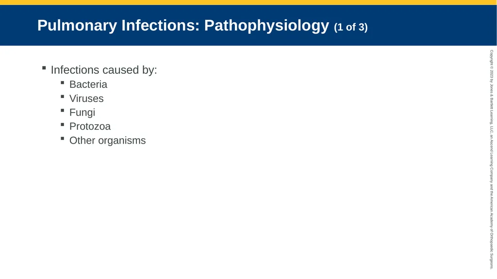 Respiratory Emergencies CHAPTER 17 Introduction - slide 141 of 179