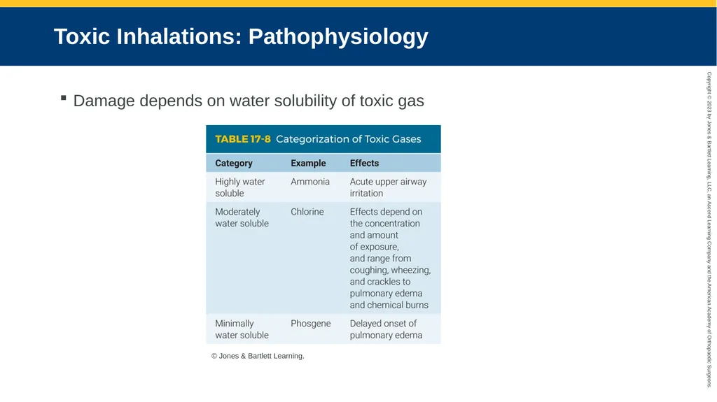 Respiratory Emergencies CHAPTER 17 Introduction - slide 156 of 179