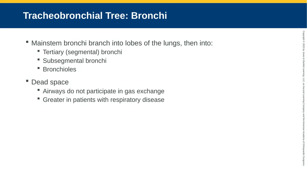Respiratory Emergencies CHAPTER 17 Introduction - slide 7 of 179