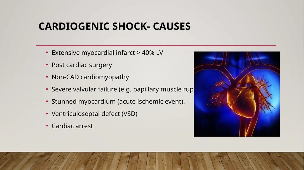 SHOCK Case Studies Margaret Avallone DNP RN - slide 20 of 60