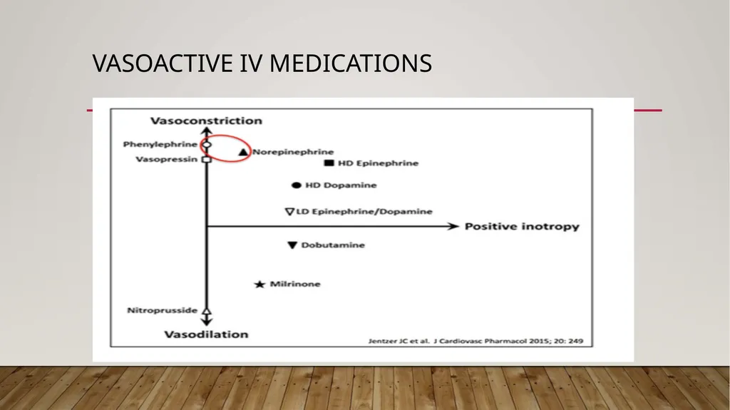 SHOCK Case Studies Margaret Avallone DNP RN - slide 34 of 60