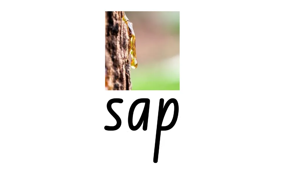 Explicit Phonics Instruction S A T P – lesson 4 - slide 20 of 37