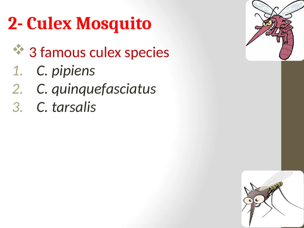 Mosquitoes Amal Almuhanna 2012 Introduction - slide 27 of 54