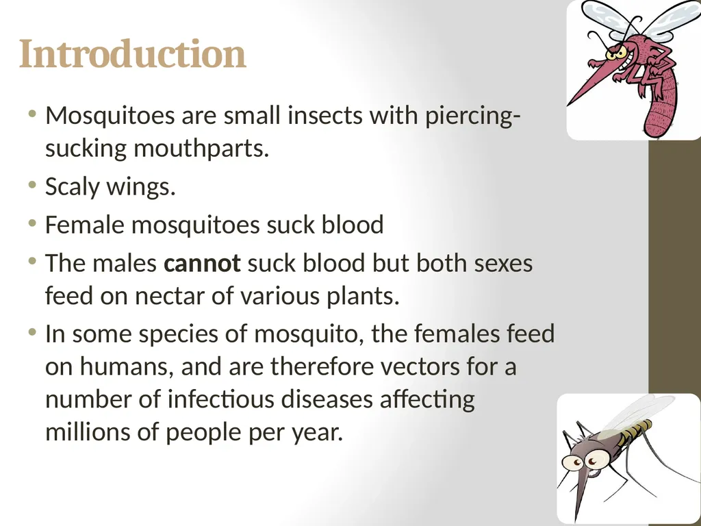 Mosquitoes Amal Almuhanna 2012 Introduction - slide 2 of 54