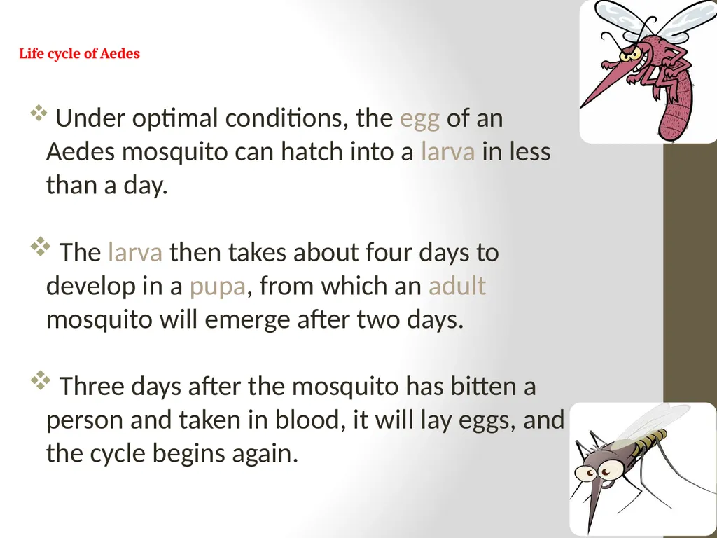 Mosquitoes Amal Almuhanna 2012 Introduction - slide 25 of 54