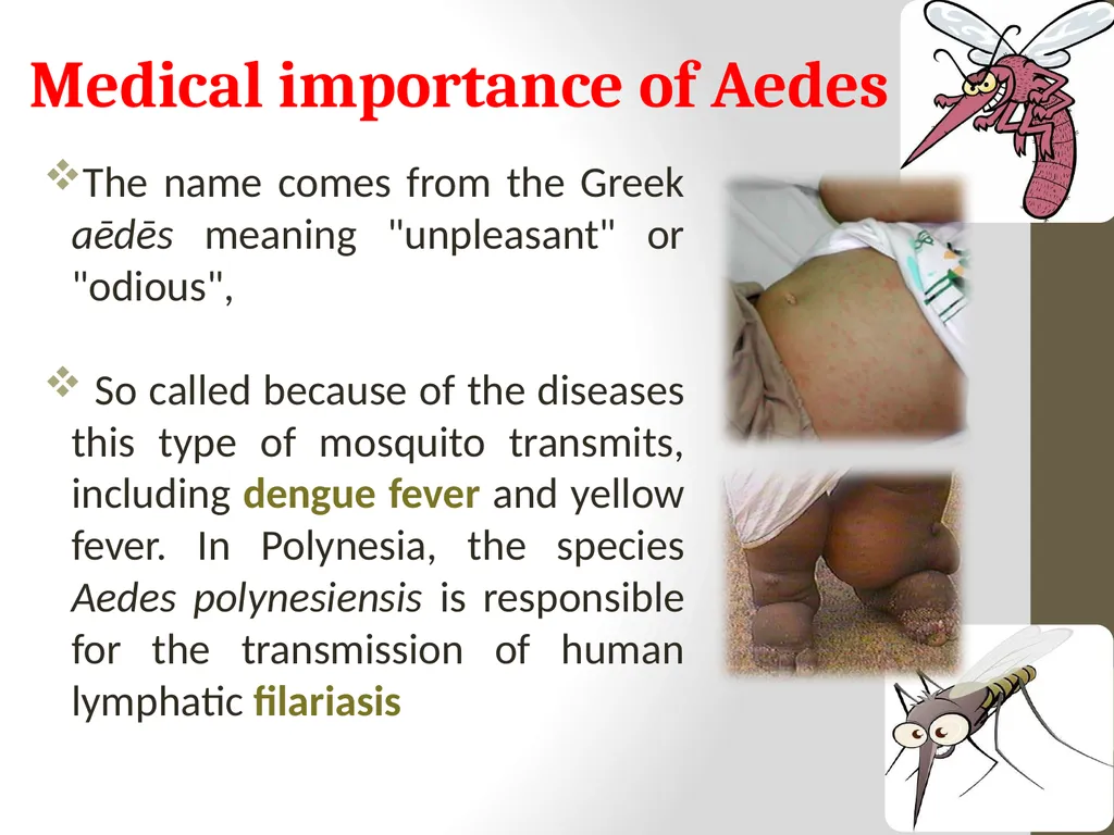 Mosquitoes Amal Almuhanna 2012 Introduction - slide 26 of 54